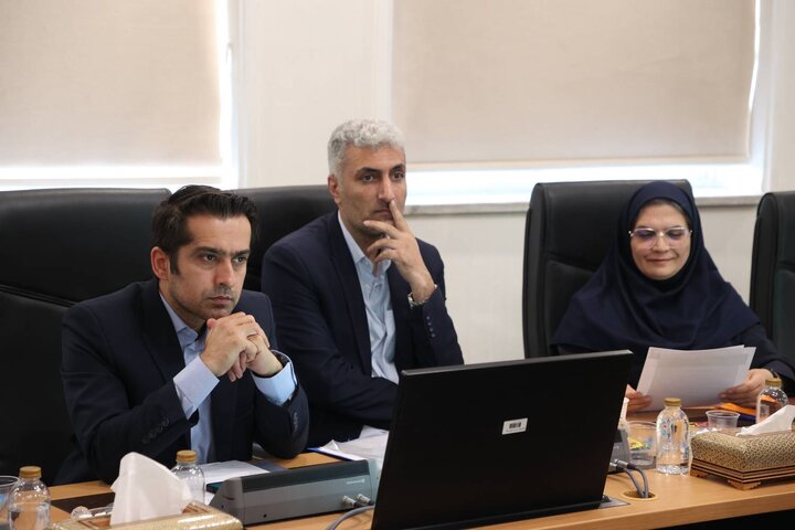 دومین جلسه کمیته تخصصی کارگروه ملی ویژه پیگیری تحقق شعار سال ۱۴۰۴