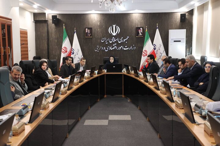 دومین جلسه کمیته تخصصی کارگروه ملی ویژه پیگیری تحقق شعار سال ۱۴۰۴