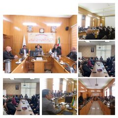 همدلی، شفافیت و حل‌مسئله در محیط کاری