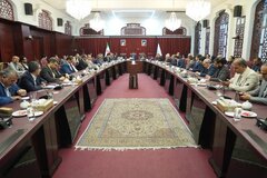 نشست سرمایه‌گذاران خارجی با سرپرست سازمان سرمایه گذاری