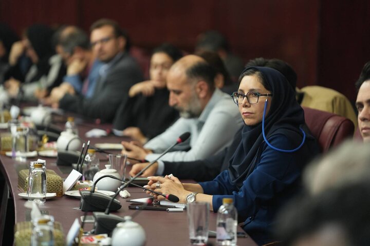 نشست سرمایه‌گذاران خارجی با سرپرست سازمان سرمایه گذاری