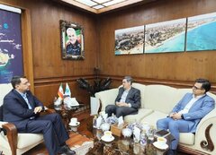 ایده درمان تکمیلی کیشوندان در دست بررسی است