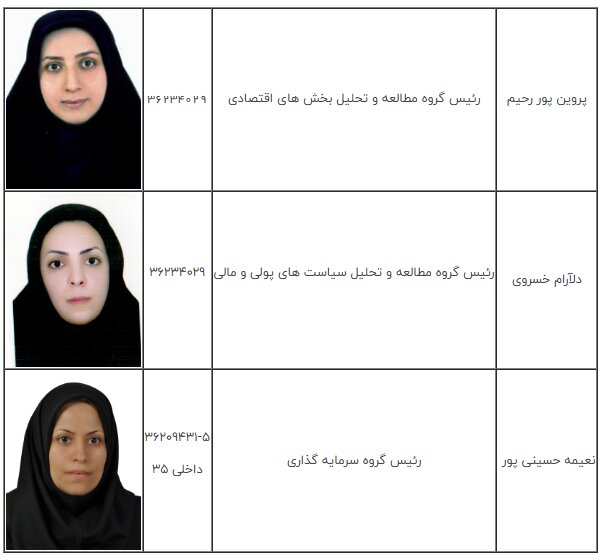 معاون اقتصادی