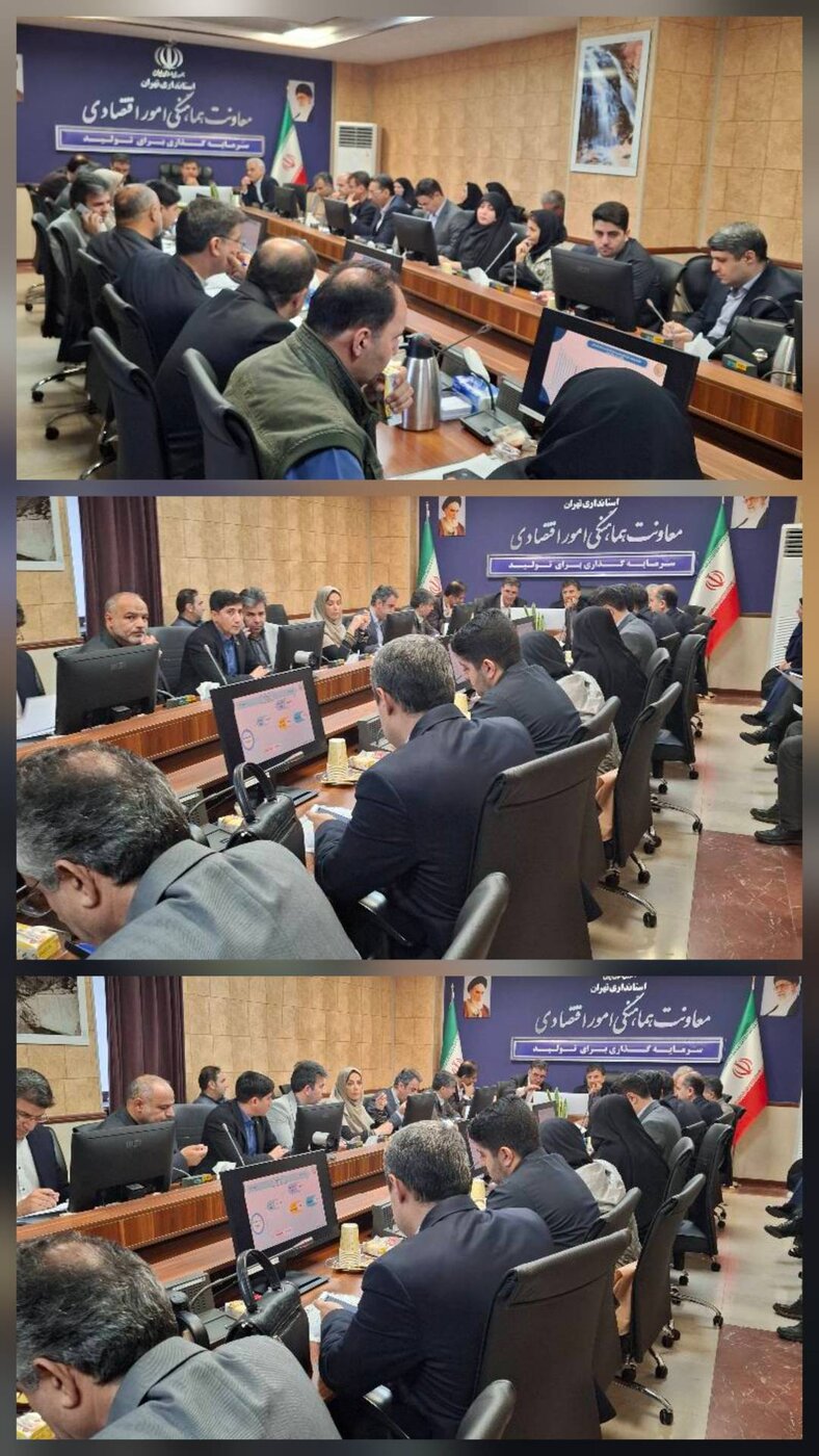 تأکید مدیرکل امور اقتصادی تهران بر ضرورت شتاب در پرداخت تسهیلات تبصره ۱۸