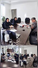 حضور رئیس گروه اقتصادی و همکاران در جلسه مشورتی موسسات عامل و دستگاه‌های اجرایی