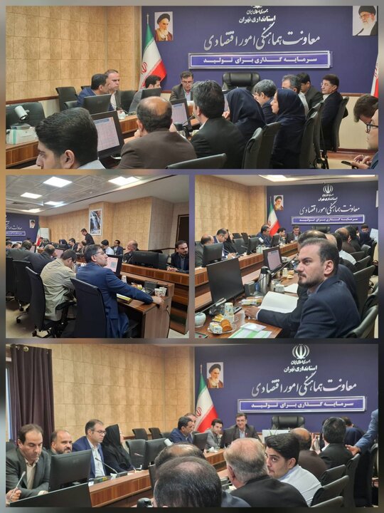 برگزاری جلسه کمیته استانی تبصره (۱۸) قانون بودجه با حضور مدیرکل امور اقتصادی و دارایی استان تهران