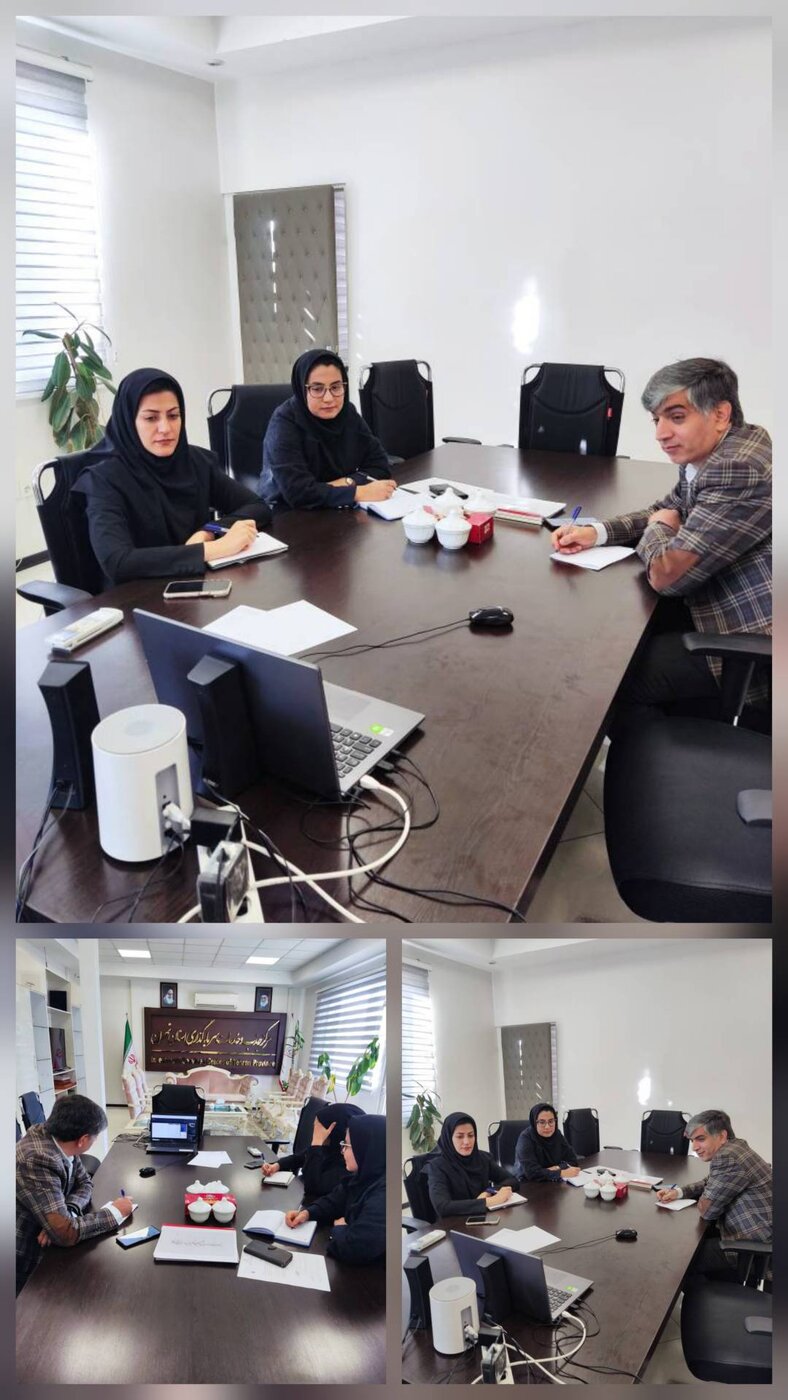 حضور رئیس گروه اقتصادی و همکاران در جلسه مشورتی موسسات عامل و دستگاه‌های اجرایی