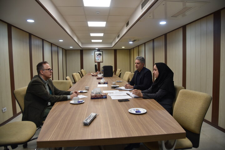 سرمایه گذاری