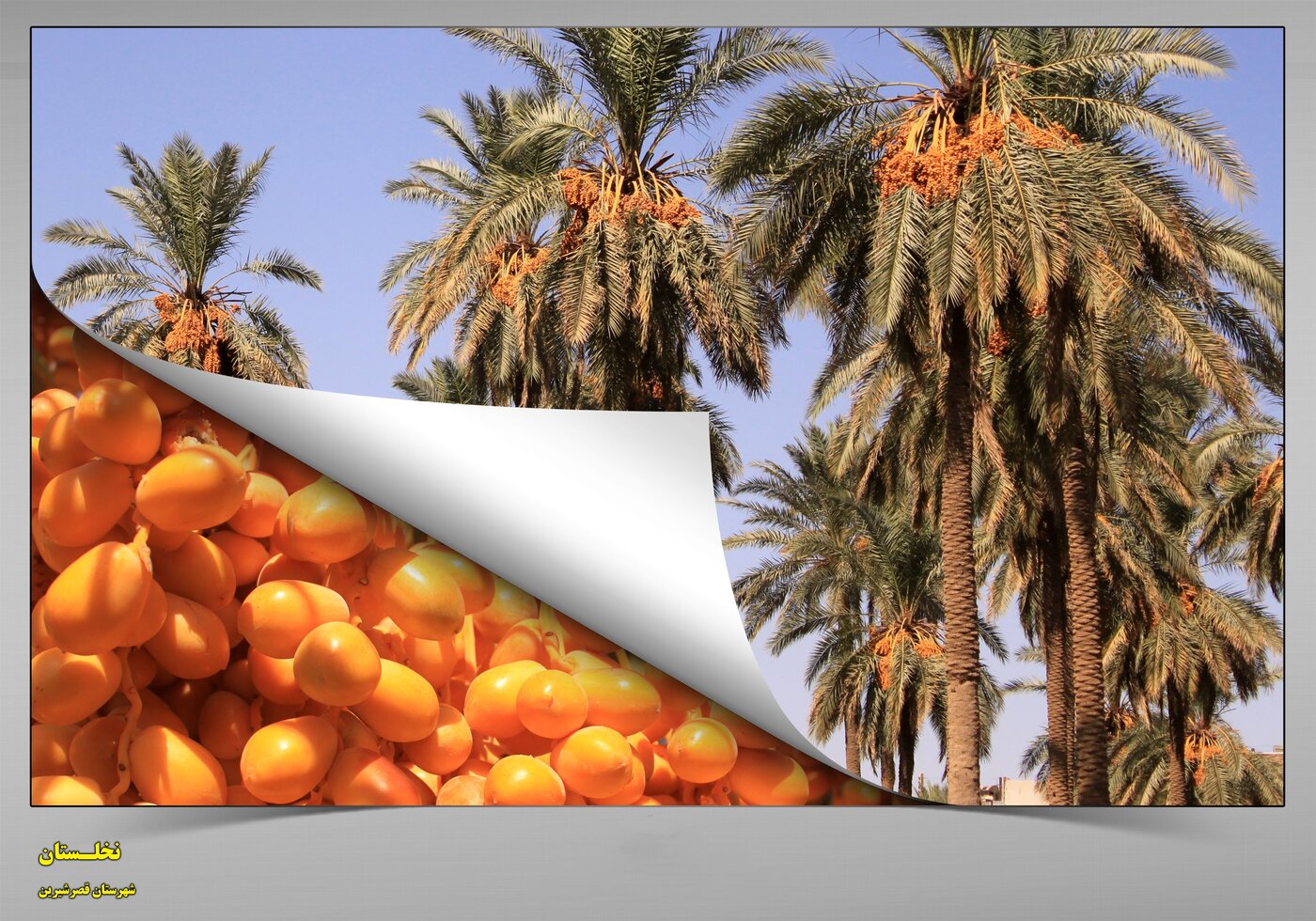 بنر کرمانشاه