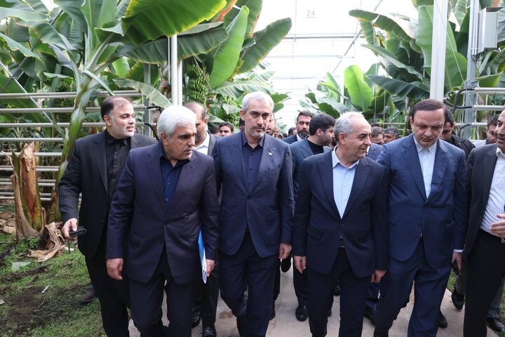 بازدید وزیر اقتصاد از گلخانه گوزل طبیعت ارس