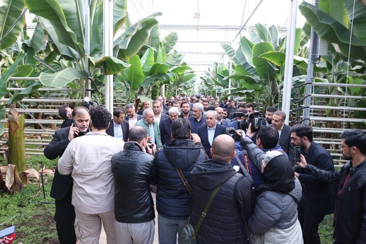 بازدید وزیر اقتصاد از گلخانه گوزل طبیعت ارس