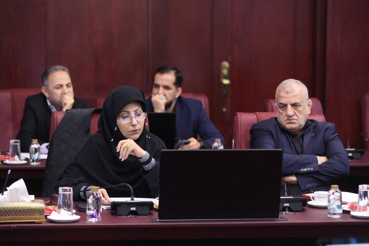 نخستین جلسه معاونان توسعه مدیریت و منابع دستگاه های تابعه وزارت اقتصاد