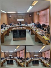 حضور فعال اداره کل امور اقتصادی و دارایی تهران در ستاد تسهیل و رفع موانع تولید