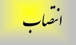 مهدی حیدری رئیس کل سازمان سرمایه‌گذاری و کمک‌های اقتصادی و فنی ایران شد