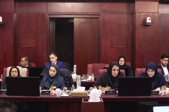 دومین نشست معاونت های اقتصادی ادارات کل امور اقتصادی و دارایی استان های کشور