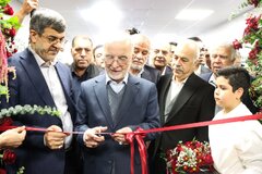 رسن‌ریس آریا با حمایت بانک صنعت و معدن به بهره‌برداری رسید