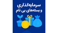 سرمایه‌گذاری و بسته‌های بی‌نام