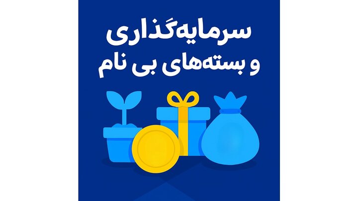 سرمایه‌گذاری و بسته‌های بی‌نام