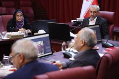 سومین جلسه کارگروه ملی مولد سازی