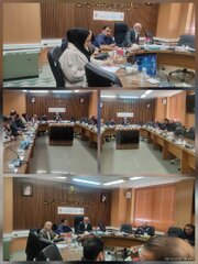 حضور فعال اداره کل امور اقتصادی و دارایی تهران در ستاد تسهیل و رفع موانع تولید