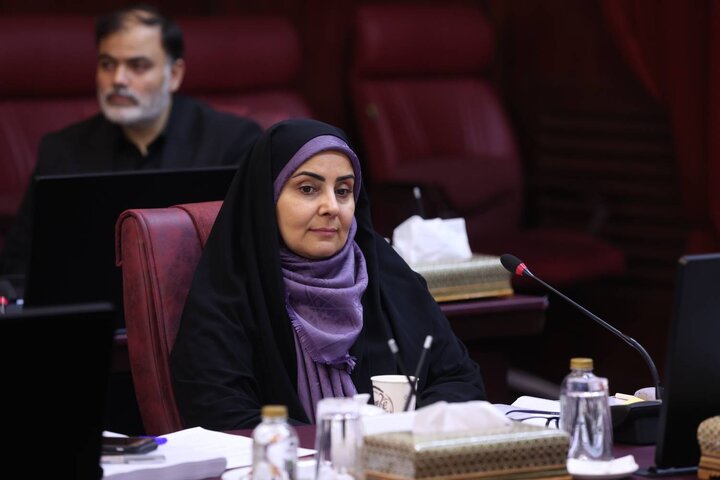 سومین جلسه کارگروه ملی تامین مالی تولید و زیرساخت ها