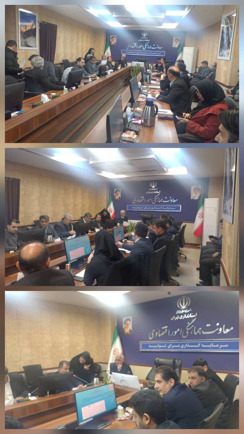 حضور نماینده اداره کل امور اقتصادی و دارایی استان تهران در چهل‌وچهارمین جلسه کارگروه تسهیل و رفع موانع تولید استان