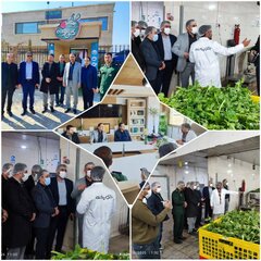 بازدید سرپرست اداره کل امور اقتصادی و دارایی استان فارس از شرکت شرکت گل پونه