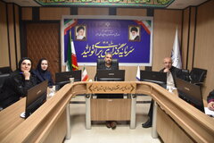 برگزاری نشست وبیناری معاونین نظارت مالی منطقه 6 کشوری (سالن جلسات حوزه ریاست-1404/8/21)