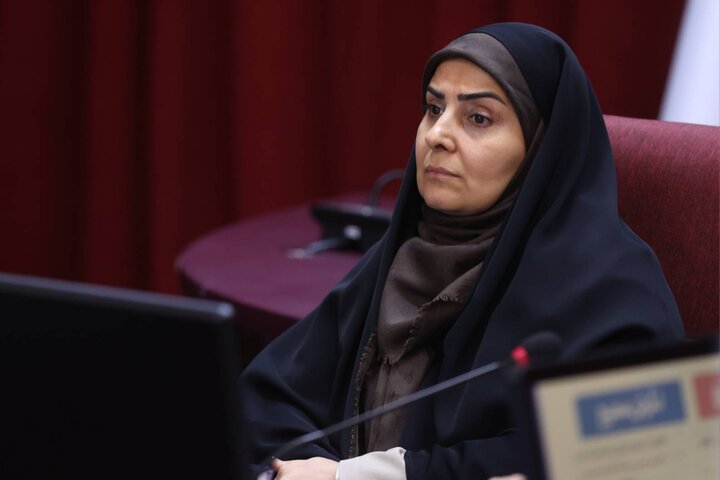 دومین جلسه ستاد تحول تجارت فرامرزی کشور