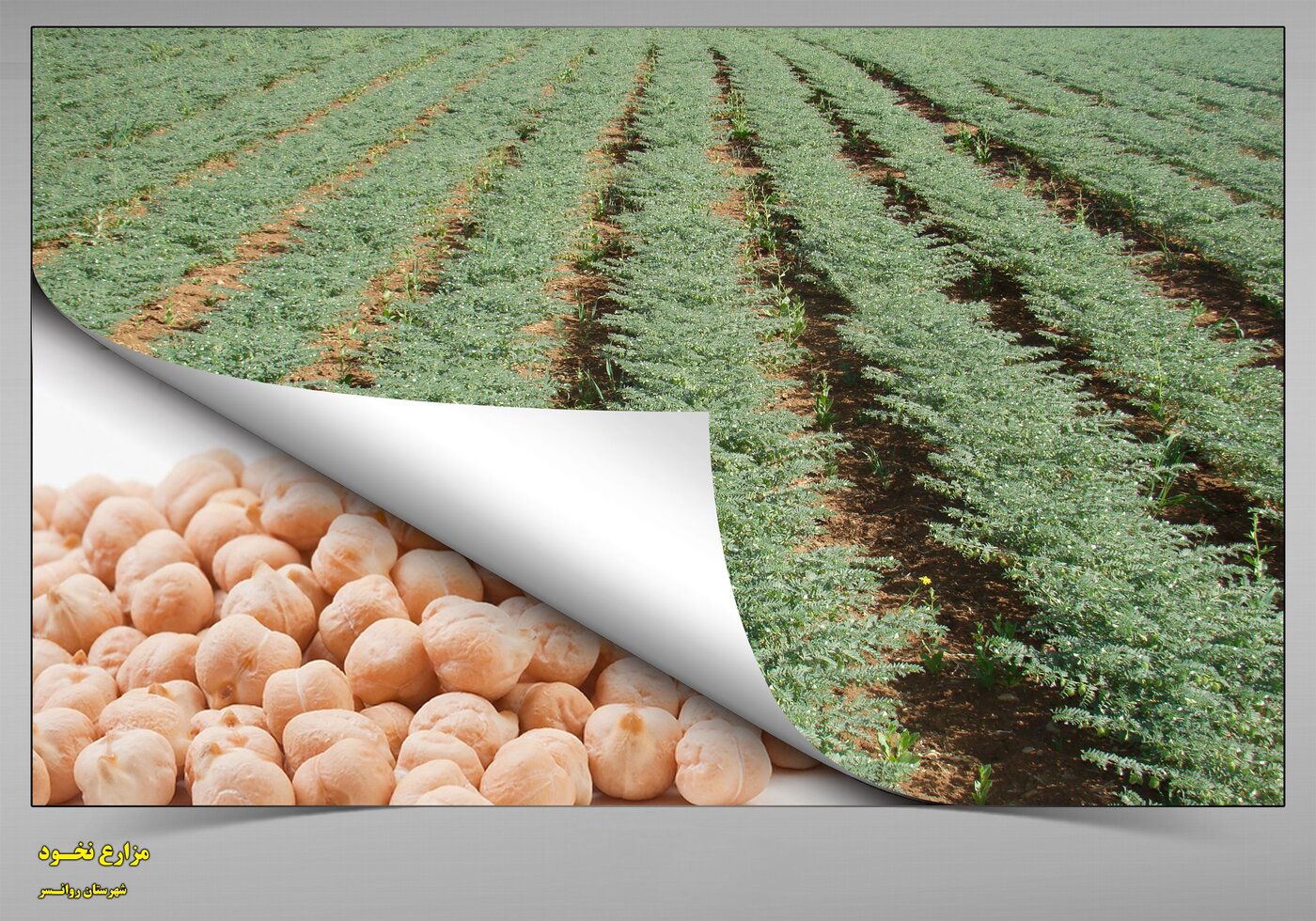 بنر کرمانشاه