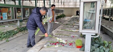 غبار روبی مزار شهدا