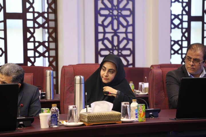 نوزدهمین شورای هماهنگی مدیران بازرسی دستگاه های تابعه وزارت اقتصاد