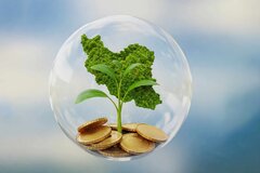 وصول بیش از ۳۰ میلیارد تومان عوارض مالیات سبز از واحدهای آلاینده استان سمنان