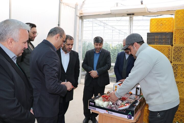 گزارش تصویر