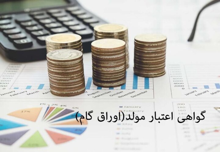 اصلاح آیین نامه اجرایی پذیرش اوراق گواهی مولد(گام) در دستگاه‌های اجرایی