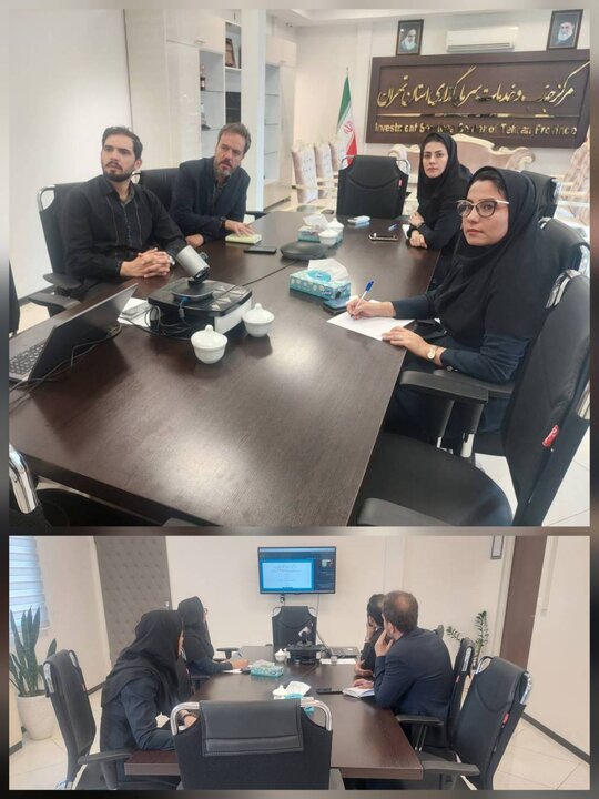 بررسی و تحلیل وضعیت توسعه‌یافتگی استان‌های کشور در نشست وبیناری معاونت اقتصادی
