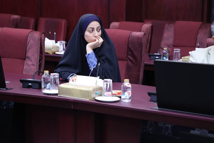 تودیع و معارفع مناطق ازاد