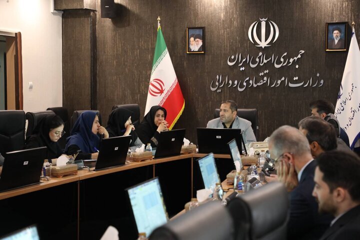 بررسی عملکرد مؤسسات عامل در پرداخت تسهیلات تولید، اشتغال و حمایت از بنگاه‌های آسیب‌دیده در وزارت اقتصاد