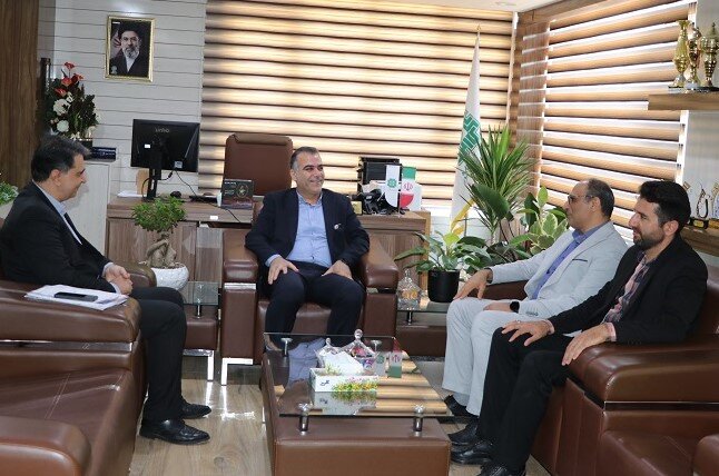 بررسی موانع و مشکلات سرمایه گذاری خارجی شرکت نوین گستر سورن پاژند