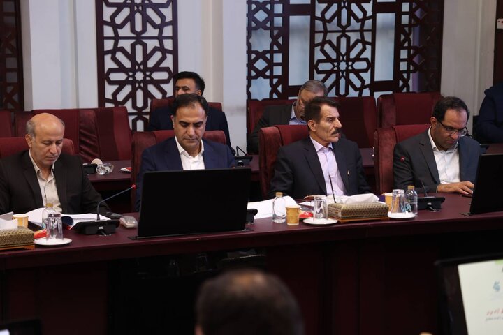 نشست مشترک وزیر اقتصاد با دبیر شورا و مدیران مناطق آزاد