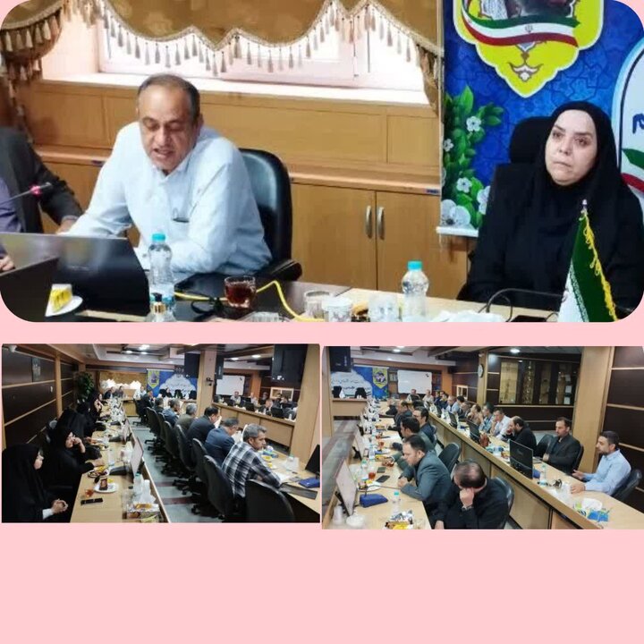 نهمین جلسه فنی تخصصی ذیحسابان با محوریت آموزش مراقبت‌های ذیحسابان در فرآیند مناقصه برگزار شد