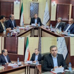 دسینه: هماهنگی دستگاه‌های اقتصادی مسیر تولید و سرمایه‌گذاری را هموار می‌کند