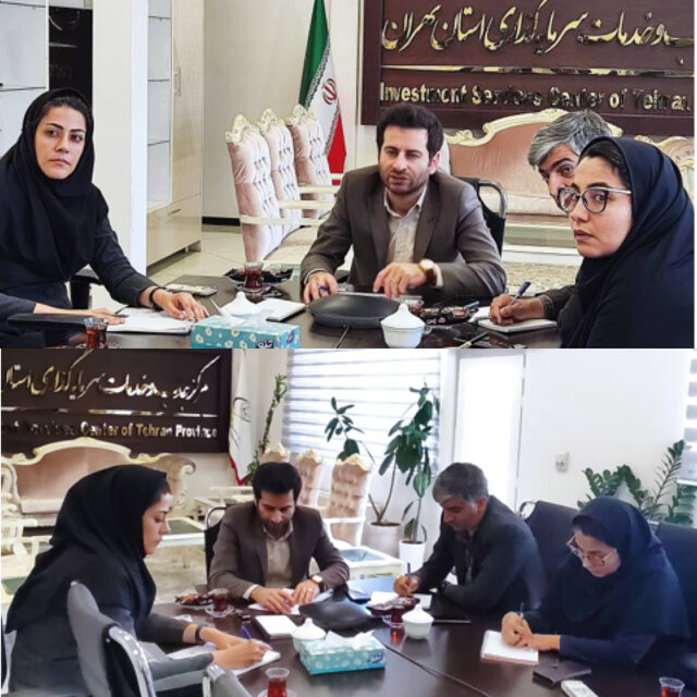 هم‌اندیشی معاونین اقتصادی منطقه ۶ کشور برای ترسیم مسیر توسعه اقتصادی
