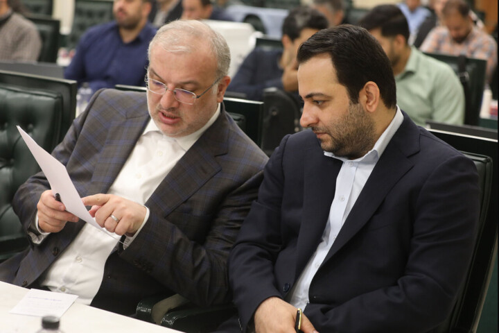 حضور دکتر مدنی زاده در نشست علنی مجازی مجلس شورای اسلامی