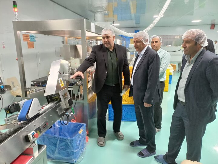 بازدید از واحدهای تولیدی و صنعتی با سرمایه گذاری خارجی