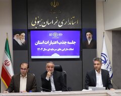جذب ۹۴ درصدی اعتبارات تملک دارایی های سرمایه ای خراسان جنوبی