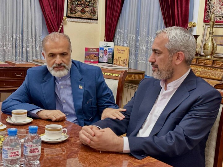 دیدار معاون وزیر حمل و نقل روسیه با دکتر مدنی زاده
