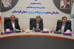 رشد ۶۹ درصدی وصول درآمدهای عمومی استان کردستان در ۵ ماهه نخست سال