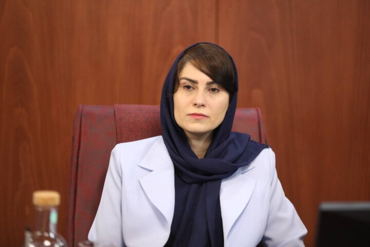 نشست هم‌اندیشی رئیس سازمان سرمایه‌گذاری ایران با مدیران آژانس‌های سرمایه‌گذاری