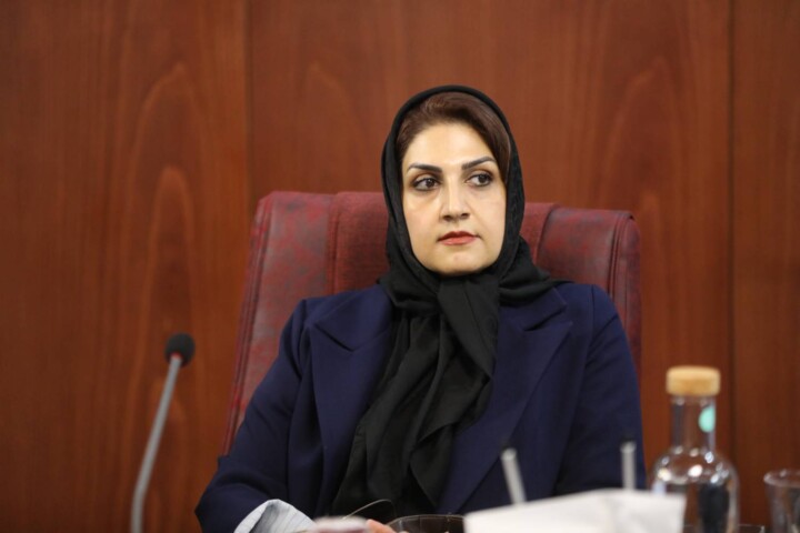 نشست هم‌اندیشی رئیس سازمان سرمایه‌گذاری ایران با مدیران آژانس‌های سرمایه‌گذاری